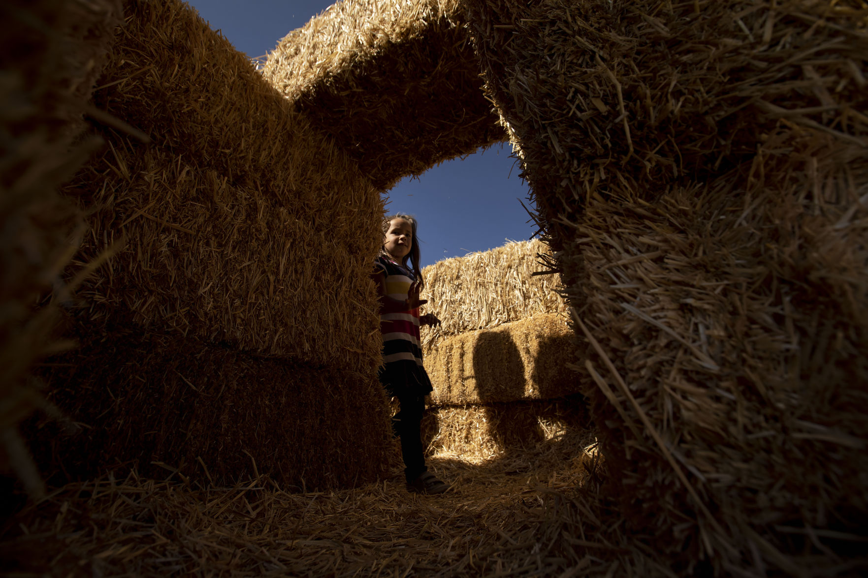 100619-news-pumpkinpatch 05.jpg